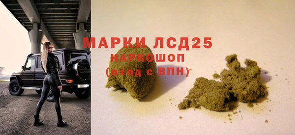 прущие крисы Новодвинск