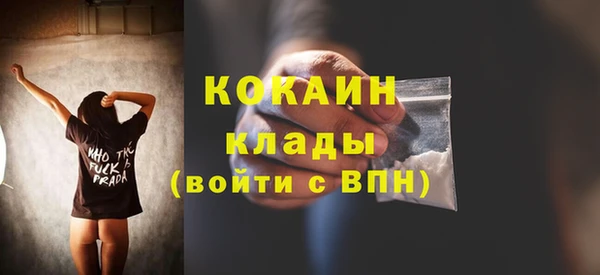 прущие крисы Новодвинск