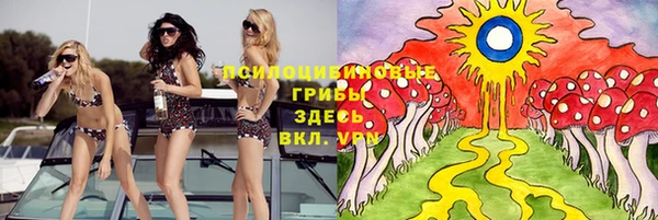 наркотики Новозыбков