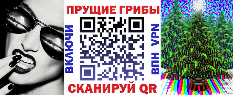 Псилоцибиновые грибы мухоморы  нарко площадка официальный сайт  Руза 